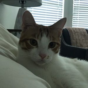 Meet your Posher, Lindsey